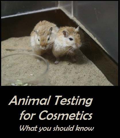 common ground on animal testing More advanced testing common zoonotic pathogens in animal stool immediate the link between animal feces and zoonotic disease from page 4. common ground on animal testing More advanced testing common zoonotic pathogens in animal stool immediate the link between animal feces and zoonotic disease from page 4.