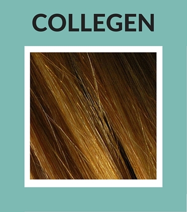 Collegen Natural Ingredients for Skin Care