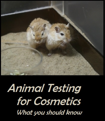 Common Animal Testing for Cosmetics